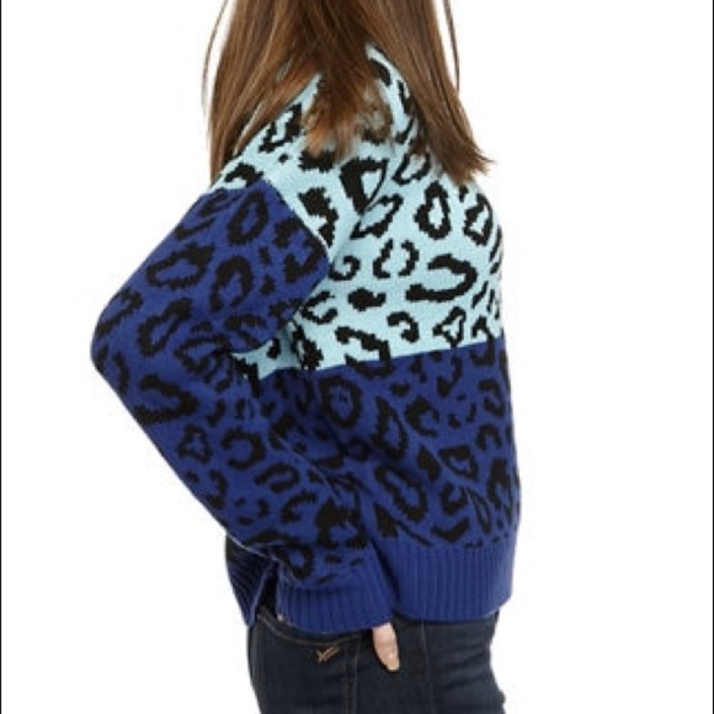 Blush & Bloom | NWT Leopard Color Block Sweater